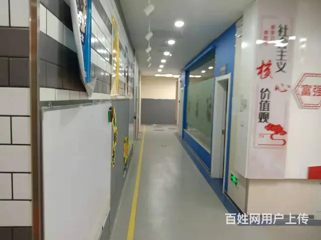 7339（七P）个人城中区大十字兴旺大厦商铺对外出租无转让费 - 图片 7