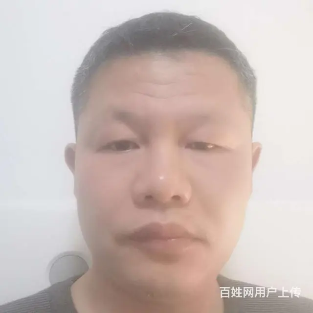 搭伙过日子。 - 图片 1