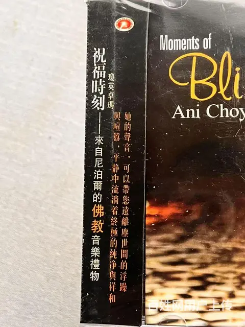 Ani Choying Drolma 琼英卓玛 - 图片 8