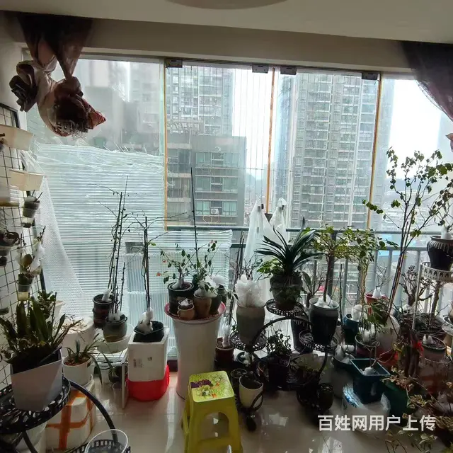 瑞丰新城小三居干净整洁保养成色好产权清晰交通便捷价格适中 - 图片 10