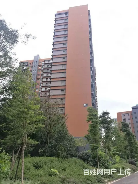 师专附小旁 星云园3房精装修 带家具家电 拎包入住 - 图片 11