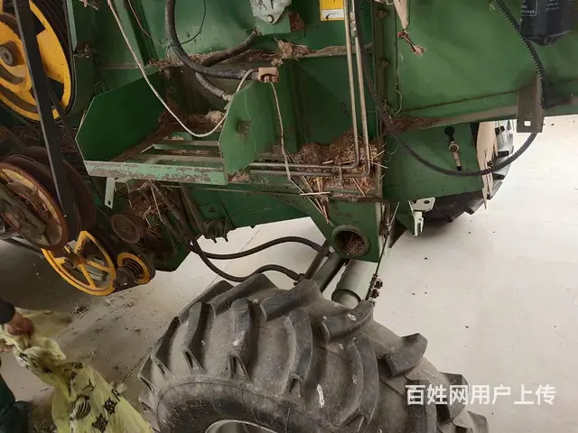 极品谷王 - 图片 5