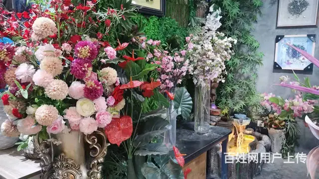 急转！毕节市黔西县莲城金街国医馆楼下55平吻合花艺 - 图片 8