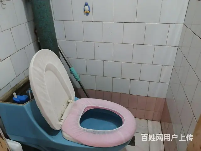 出租鹿林山三角区一楼 - 图片 5