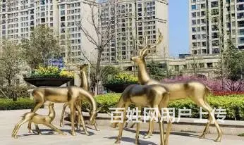 玺悦龙城165平花园式办公洋房欢迎看房 - 图片 4
