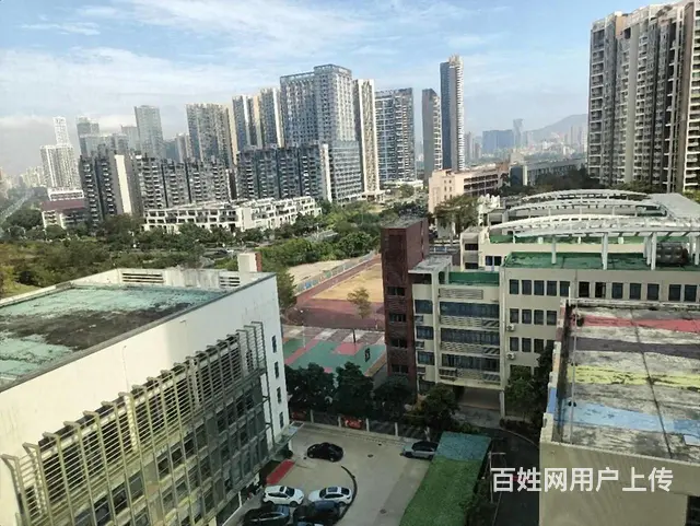 中信红树湾旁 世纪城四期3房 精装3千/月 港珠澳大桥入口旁 - 图片 11