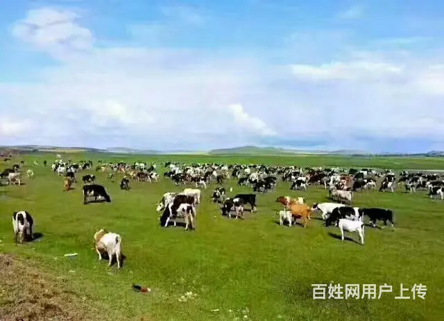 呼伦贝尔市满洲里阿尔山漠河旅游包车找常师傅靠谱 - 图片 6