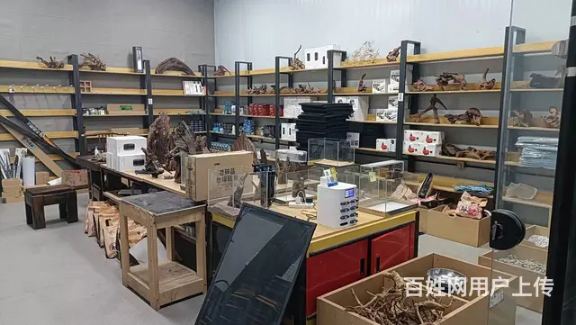 万家花博园水族馆旺铺转让 - 图片 5