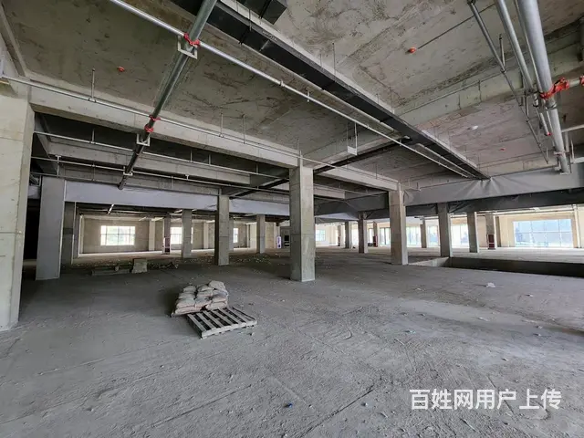 （今铺）河东好地段 12000平商铺 适合直播 医院 4S店 - 图片 5