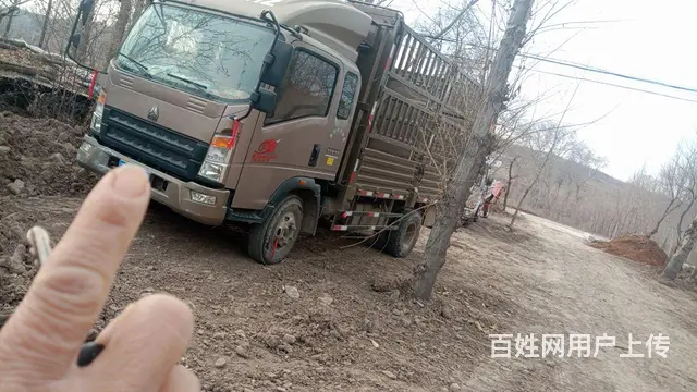 豪沃 高栏/栏板 国6 - 图片