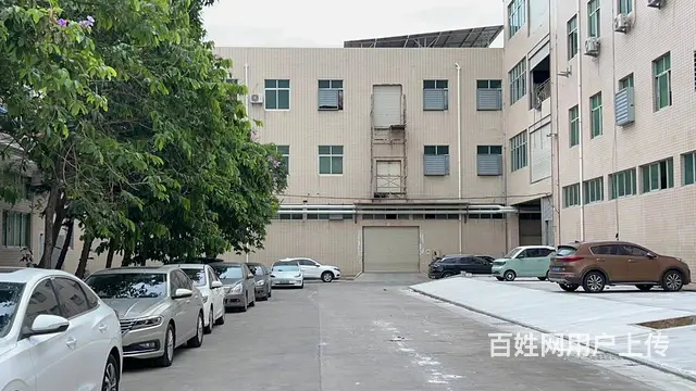 厂房出租 靠近大马路 交通便利 厂房宽敞 进出大车方便 - 图片 2