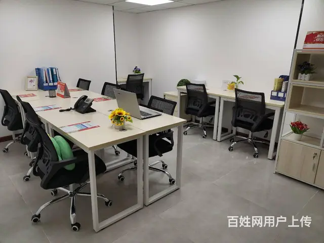 一对一专业会计代理记账 实际地址挂靠 免费代办执照 - 图片 6