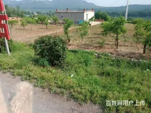 低价出售！急急急！房屋土地5.5亩，枣树梨树 - 图片 5