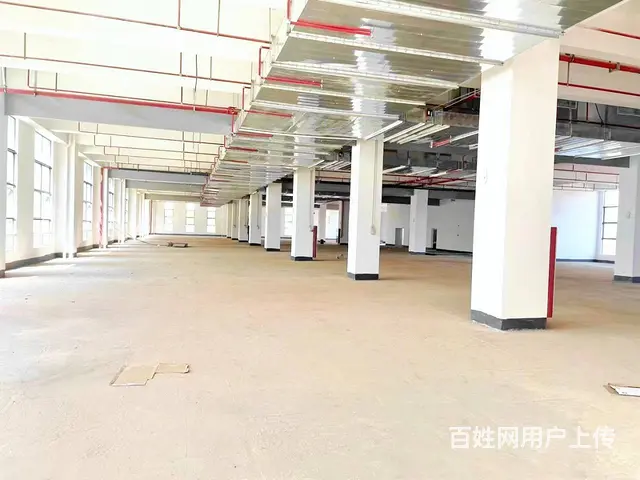 100-2000平米办公楼出租（价格低，优惠大） - 图片 2