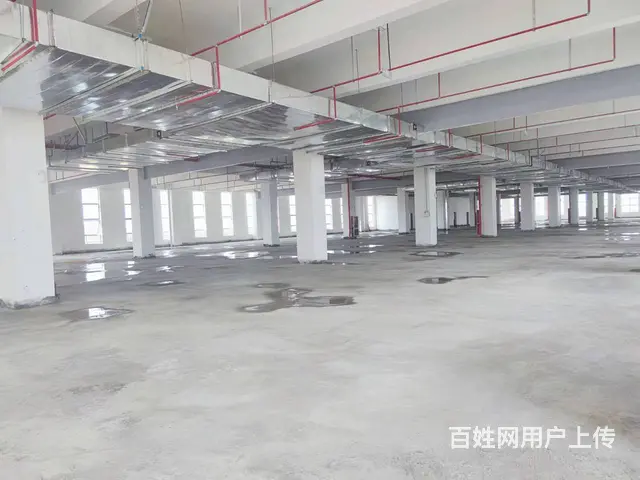 濂溪区厂房、仓库、办公楼出租！（价格低） - 图片 3