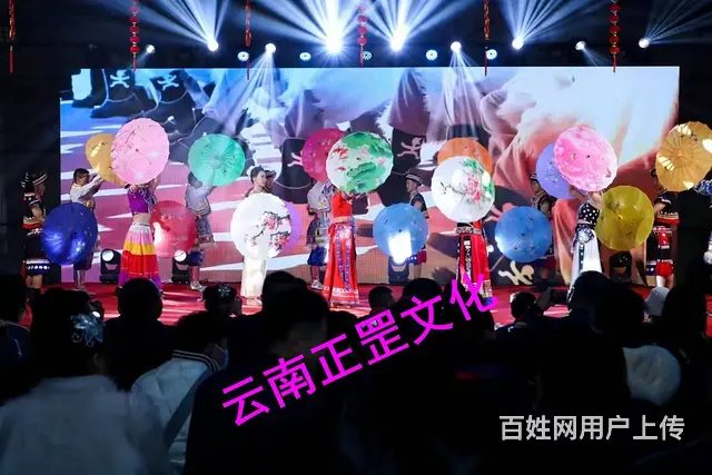 云南特色演出、舞蹈、民歌、互动舞蹈、乐队、礼仪模特 - 图片 12
