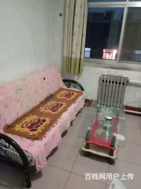 亚光一区房屋出租 - 图片 2