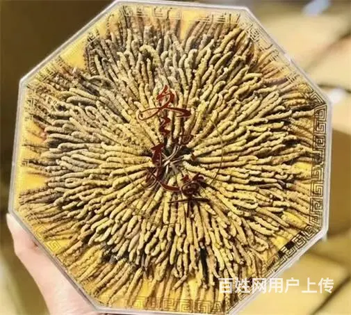 荔湾虫草回收价格前景-荔湾虫草回收行情了解 - 图片 3