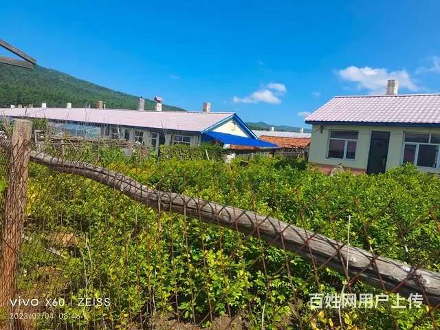 平房出售，蓝莓树出售 - 图片 2
