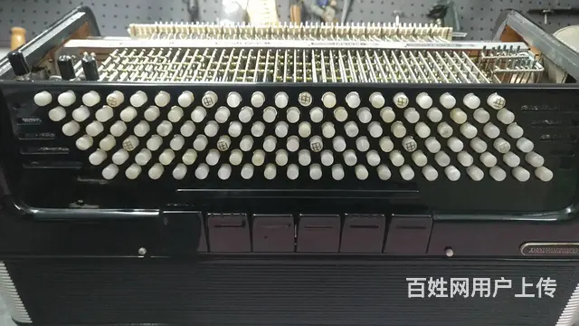 鹦鹉手风琴维修服务，专业百乐金杯鹦鹉手风琴维修 - 图片 4