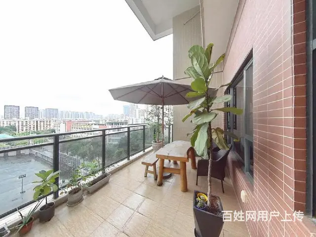 仁恒星园旁 中珠九悦 大四房，南北通双阳台， 不靠路 - 图片 2
