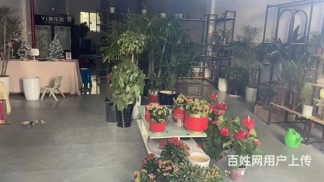 空转！天宁区海华花园242平花店转让 - 图片 2