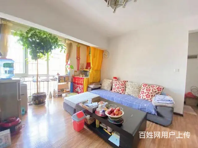 房东 春城路旁边 三室两厅 仅售88万 首 付6万 - 图片 8