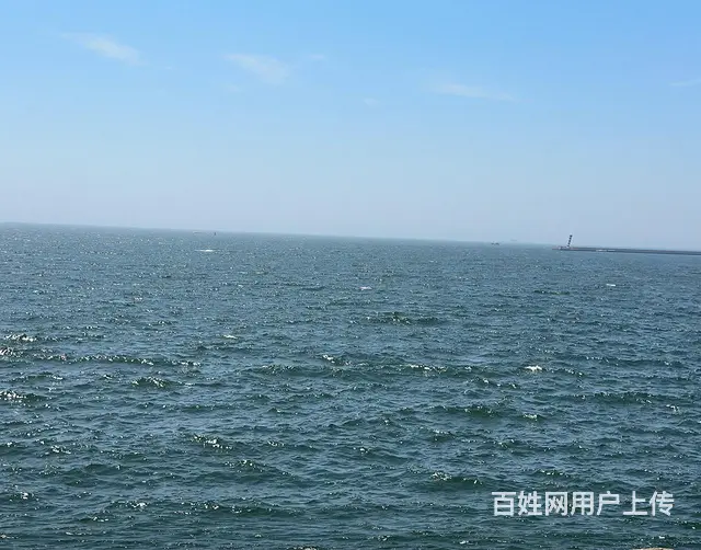 吉林专业标书制作，各类标书服务，开投标相关事宜，诚信经营，提 - 图片