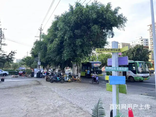 （51旺铺推荐）新大洲大道680平大排档整体转让 - 图片 12