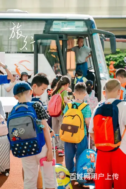2022年杭州小学生夏令营怎么报名？夏令营怎么选 - 图片 2
