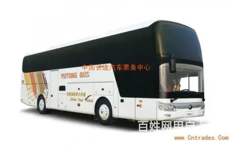 丽水市宠物托运（猫狗）活体邮寄快递（2022宠物运输 ）今日 - 图片 2
