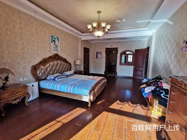 溪岸艺墅一带二叠墅使550米+300米花园豪装2车位 - 图片 8