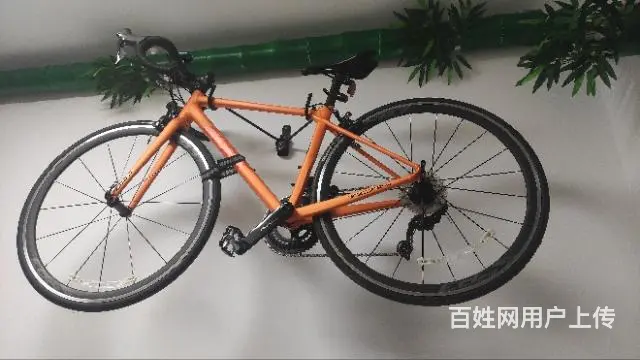 出售捷安特TCR SL1公路自行车（几乎全新） - 图片