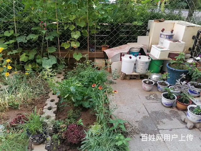 宏运一期一楼带小院80平两室通厅精装 - 图片 10