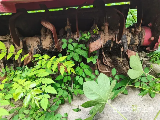 换大机子，旋耕机小了 - 图片 6