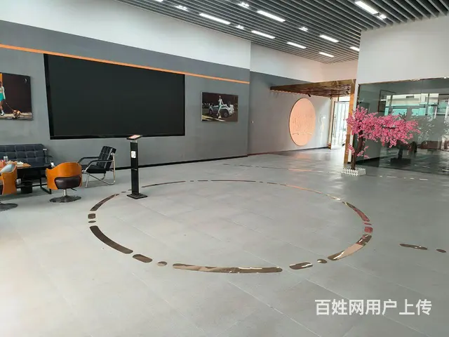洲业汽车城新能源品牌转让 - 图片 3