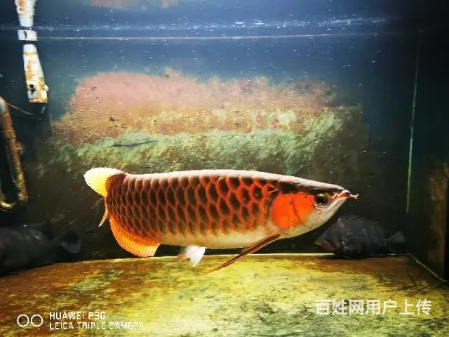 上岸！！ - 图片 9