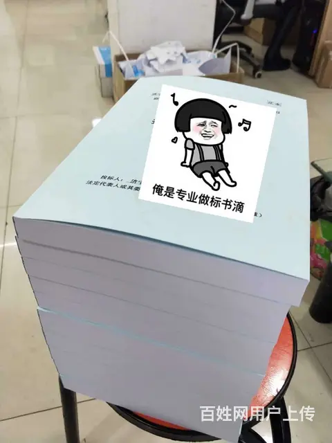 泰安专业标书制作【可提供一对一专业制作服务】 - 图片 3
