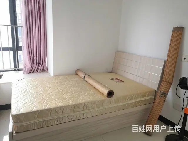 濠江丽景苑 精装温馨两居室 超干净整洁 房东急租64 - 图片 9