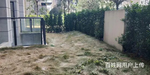 星河楼房出售 - 图片 5