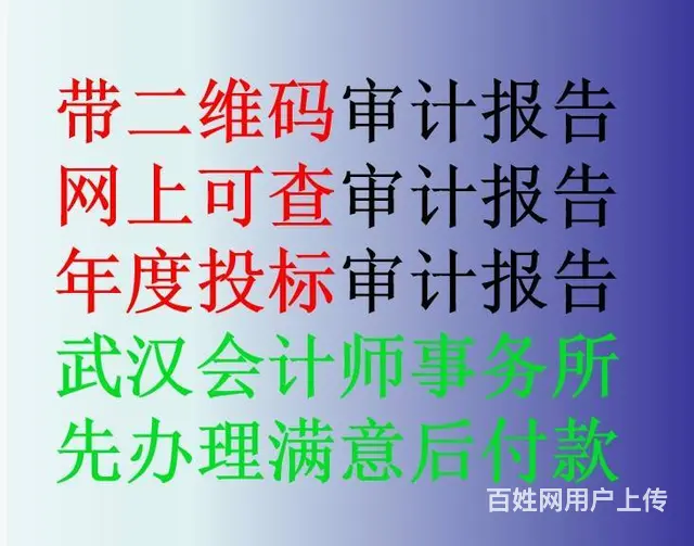 投标审计报告包括哪些内容 - 图片 2