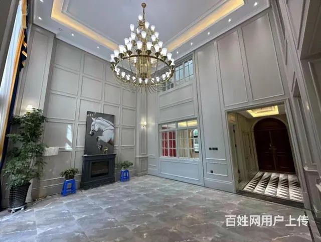 直降300W 车库 溪岸艺墅独栋  700米八室200米花园 - 图片 1