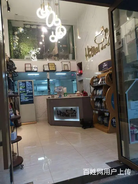 旺铺居）万达广场商业街宠物老店整体转让或空转 - 图片 7