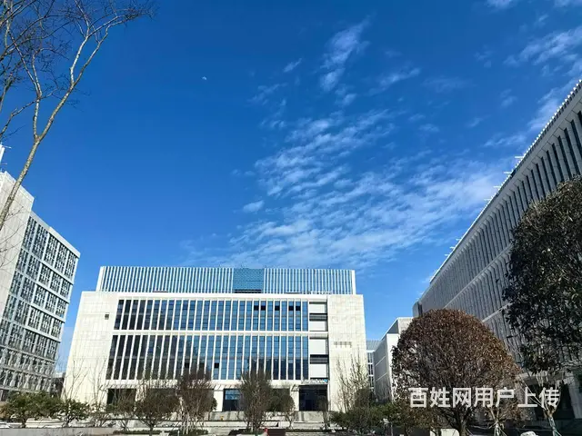 高新区 电子信息产业园 即将开园 单层厂房对外出租 - 图片 9