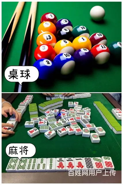 活力无限，乐在其中——广州帽峰山生态园成人团建一日 - 图片 4
