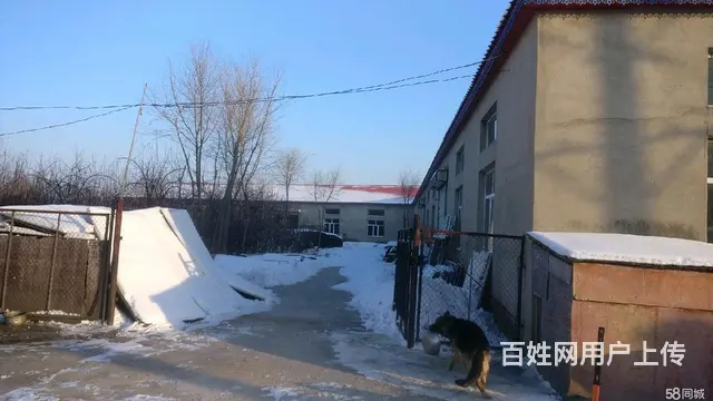 江北利民开发区曹家屯厂房出租 - 图片 6