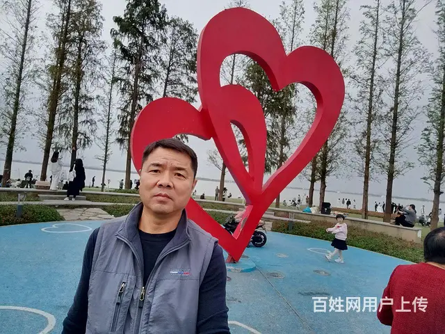 寻找生活伴侣 - 图片 6