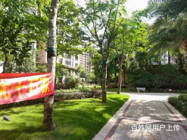 椰博 商圈 对面 4房南北通透 - 图片 1
