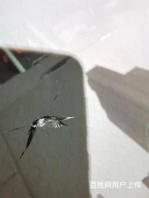 广汉本地各种汽车挡风玻璃专业修补技术中心 - 图片 11