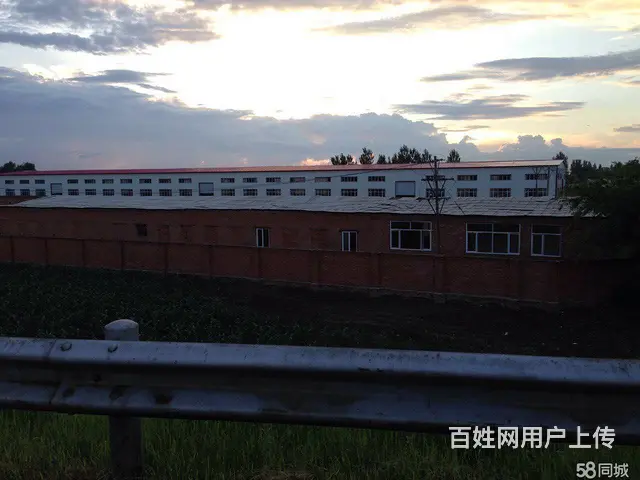 呼兰区小王岗村厂房场地出售 - 图片 2
